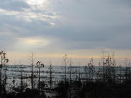 Lots 9, 10, 11 South Barque Point Tr