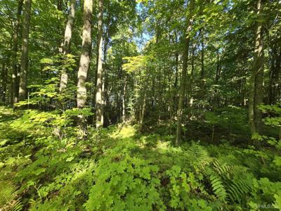 Unit 12 Redridge Creek Road