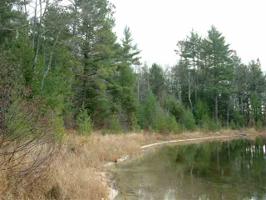 TBD W Sister Lake Rd