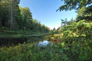 TBD Mud Lake Rd