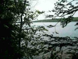 Lot 12 Nightingale Dr