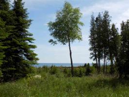 TBD Miller Point Rd