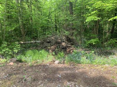 TBD Hoop n Holler Road