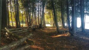 W8078 S Lake Antoine Homesite parcel 2C Rd