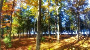 W8076 S Lake Antoine Homesite parcel 2D Rd