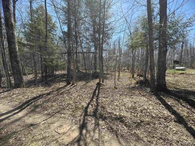 TBD Lot 29 1st St Street