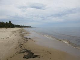 2212 S Hidden Shores
