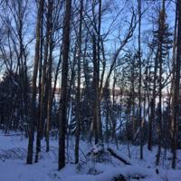TBD Ridgeview Rd
