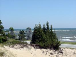 TBD Hemlock Views Tr