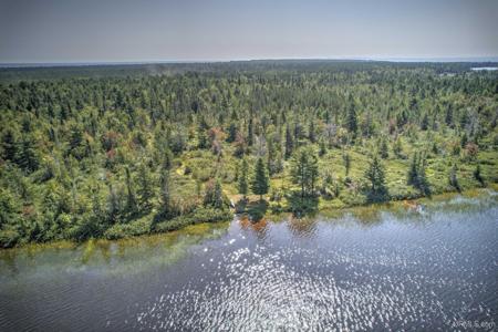 TBD Rice Lake Road