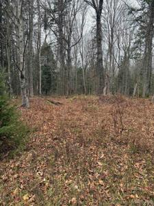 Lot 11 Keweenaw Pass