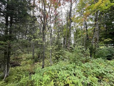 TBD W Brule Lake Road