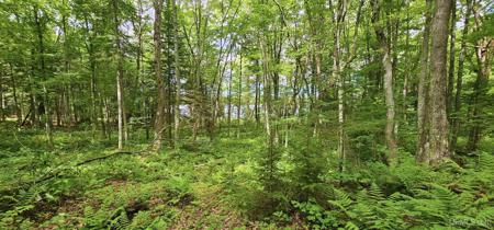 Lot 19 Keweenaw Pass