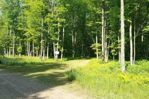 TBD Ridgeview Rd