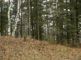 TBD Upper Pine Creek Rd