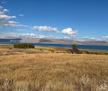 167 WANDERING DAISY DR