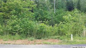 164 Lookout Mountain Drive