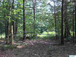 Stewart Hollow Road 