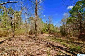 1 Beech Ridge