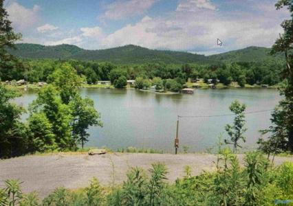 1313 Waldrop Road