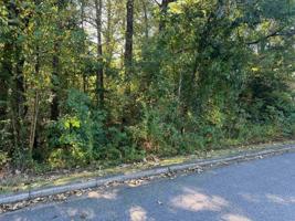 River Ridge Road 