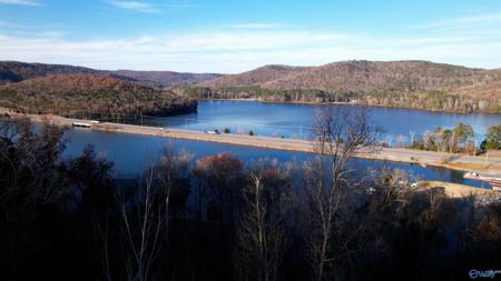 4.08 acres Mitchell Hollow Road