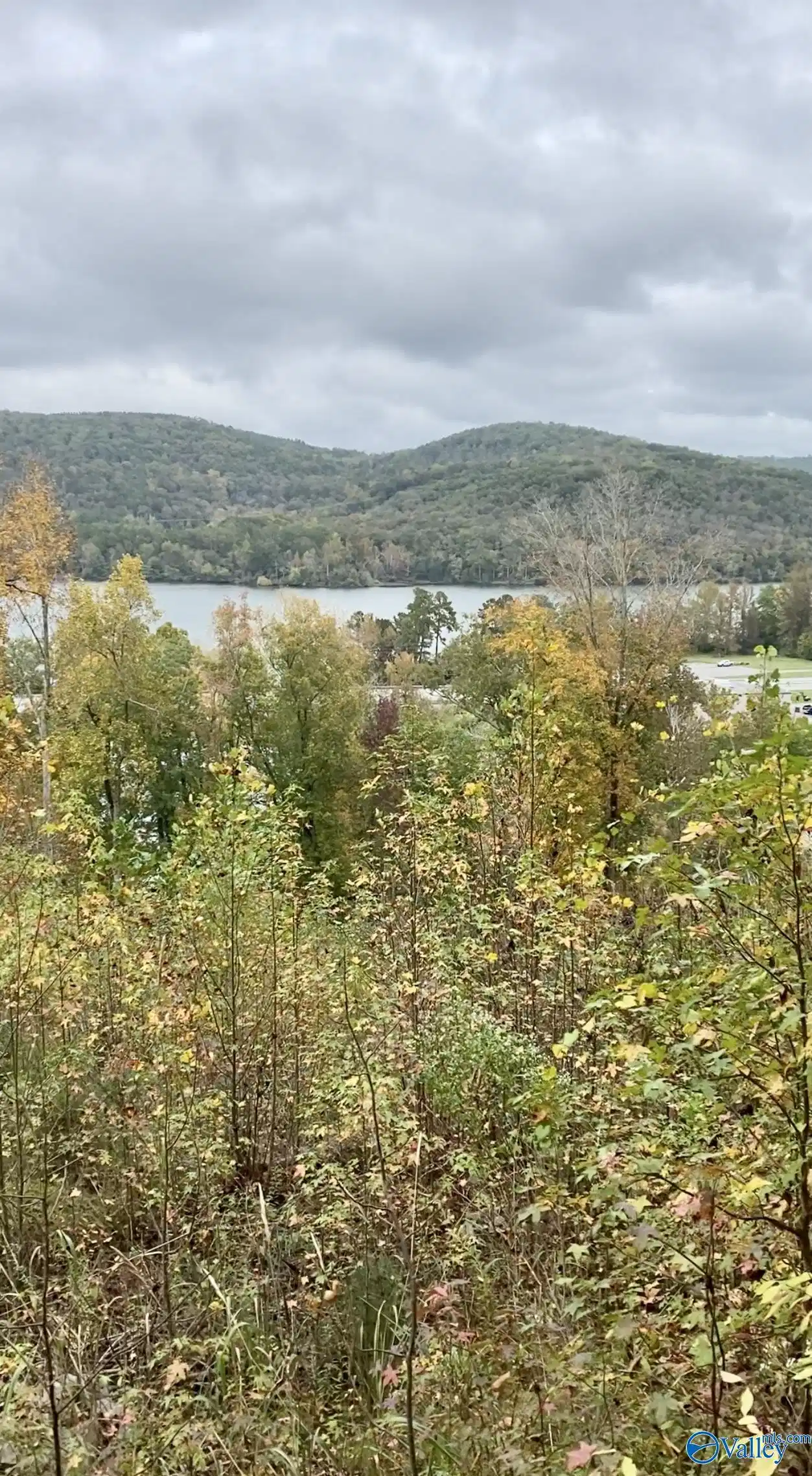 Image 1: View from lot.