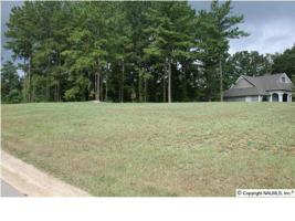 0 Indian Pine Trace