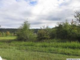 Lot 17 Blue Lakes
