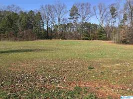 Lot 4 Hatchie Lane
