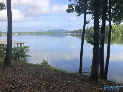 433 Monte Sano Drive