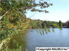 Shaler Drive 