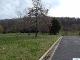 Lake Creek Drive 