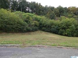 Timberwalk Drive 