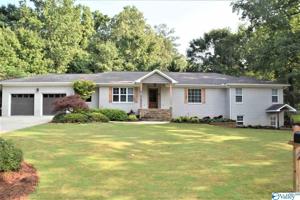 82 Alpine View