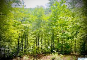 0 Paradise Trail