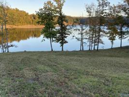 60 County Road 303