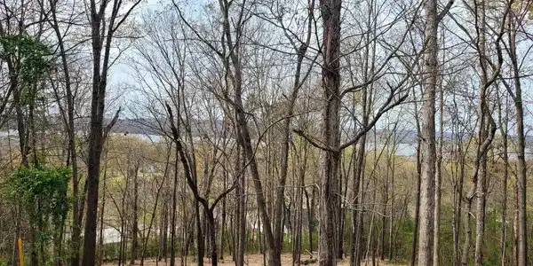 LOT 4 Creek Circle