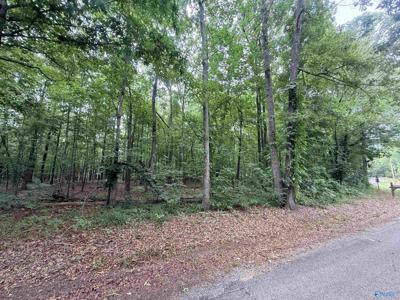 001 County Road 667