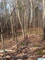 Lot 41 and 41A Turkey Bend Drive