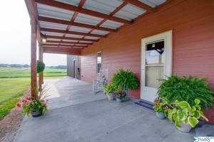 5699 Snake Road