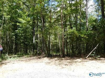 Lot 51 Harbor Loop