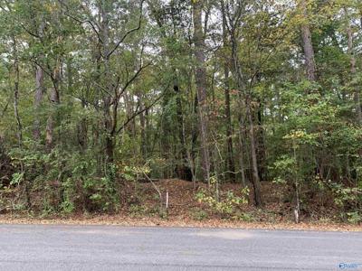 0.69 Beech Hollow Lane