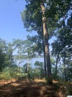229 Monte Sano Drive