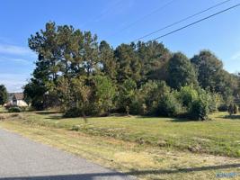 Lot 4 Meadowlark Place