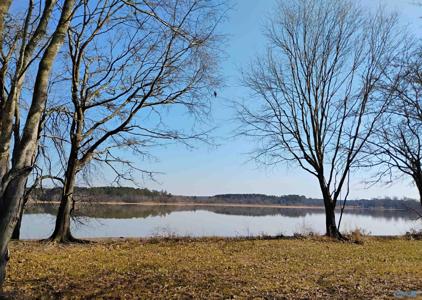 Lot 19 County Road 803