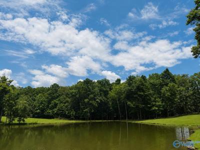 Lot 13 County Road 131