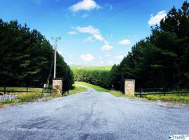 LOT 16 Paradise Trail