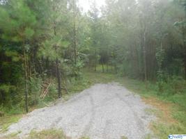 County Road 133