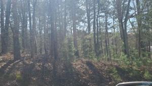 PIN-2974 Ridge Circle